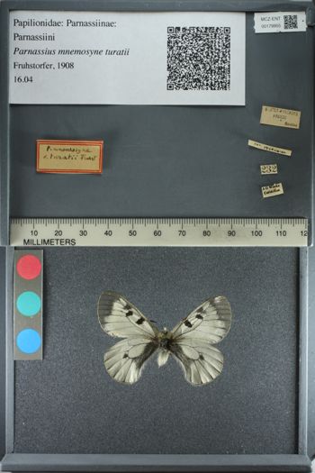 Media type: image;   Entomology 179955